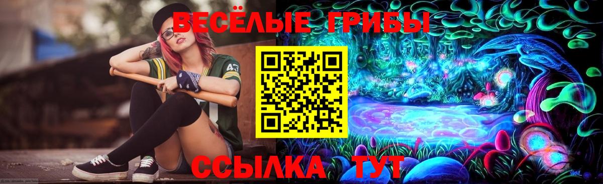 Кимры  купить закладку  Вход с VPN  Галлюциногенные грибы ЛСД 
